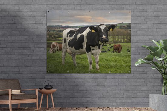 Affiche de jardin de vache avec des étiquettes d'oreille en pelouse toile en vrac 160x120 cm - Toile de jardin / Toile d'extérieur / Peintures d'extérieur (décoration de jardin) XXL / Groot format!