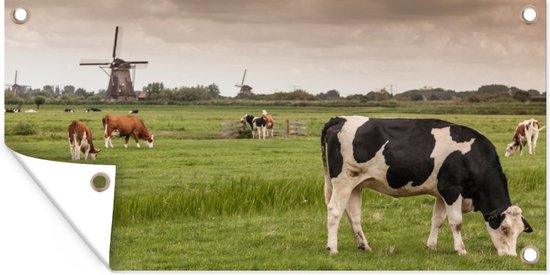 Tuinposter Koeien - Molen - Nederland - 80x40 cm - Wanddecoratie Buiten - Tuinposter - Tuindoek - Schuttingposter - Tuinschilderij