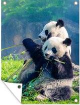 Tuinposter - Tuindoek - Tuinposters buiten - Panda - Bamboe - Gras - Dieren - 90x120 cm - Tuin