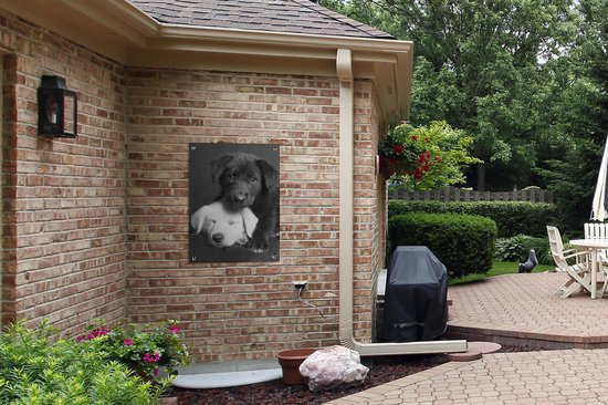 Tableau de jardin Chiens - Puppy - Zwart - Wit - Animaux - 60x80 cm - Affiche de jardin