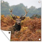 Affiche de jardin Cerf dans une région automnale Toile en vrac 100x100 cm - Toile de jardin / Toile d'extérieur / Peintures pour l'extérieur (décoration de jardin)
