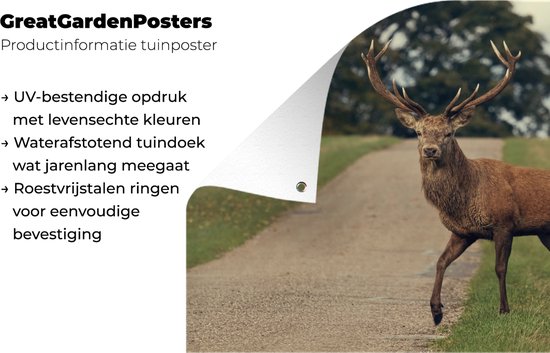 Décoration de Jardin Cerf - Vert - Herbe - 40x30 cm - Toile de jardin - Poster extérieur