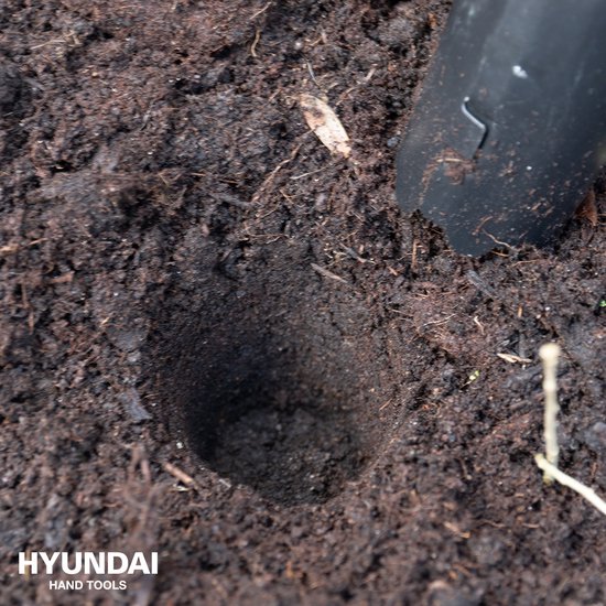 Hyundai 58317 Bollenplanter van Merkloos	 — afbeelding 4