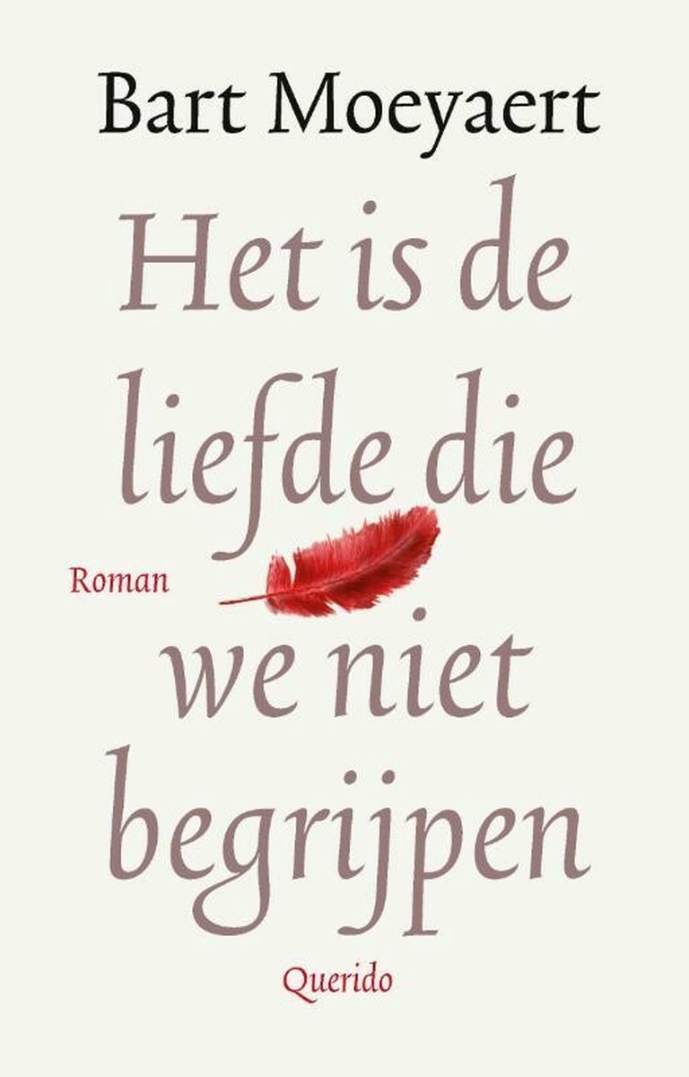 Het is de liefde die we niet begrijpen, Bart Moeyaert 9789021419947 Boeken