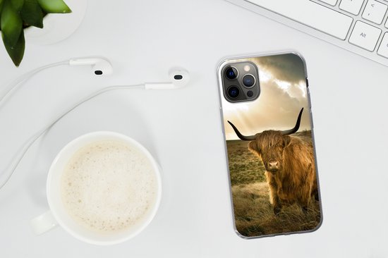 Coque iPhone 13 Pro - Highlander écossais - Soleil - Animaux - Siliconen