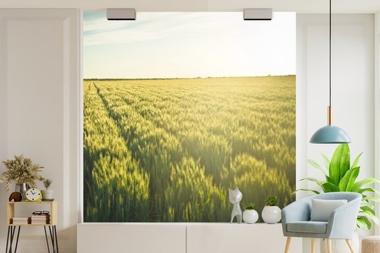 Behang - Fotobehang Landbouw in de vroege ochtend - Breedte 240 cm x hoogte 240 cm
