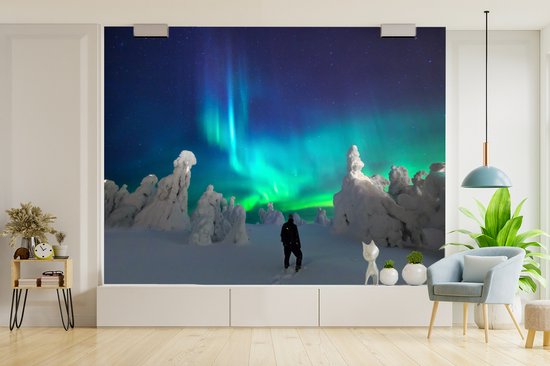 Papier peint photo peint vinyle - Admirateur solitaire des aurores boréales largeur 375 cm x hauteur 300 cm - Tirage photo sur papier peint (disponible en 7 tailles)