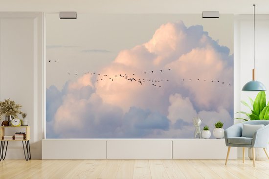 Volée d'oiseaux dans le ciel 600x400 cm