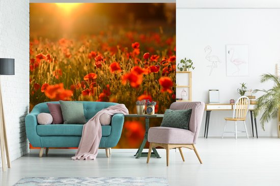 Behang - Fotobehang Oranje gloed over de Klaprozen in het veld - Breedte 220 cm x hoogte 220 cm