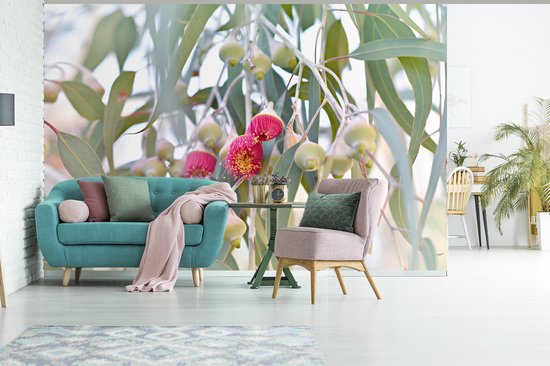 Papier peint Papier peint photo en vinyle - Fleurs d'eucalyptus roses entre les feuilles largeur 600 cm x hauteur 400 cm - Tirage photo sur papier peint (disponible en 7 tailles)