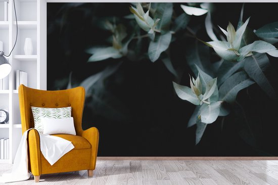 Papier peint Papier peint photo en vinyle - Branches d'eucalyptus sur fond sombre largeur 330 cm x hauteur 220 cm - Tirage photo sur papier peint (disponible en 7 tailles)
