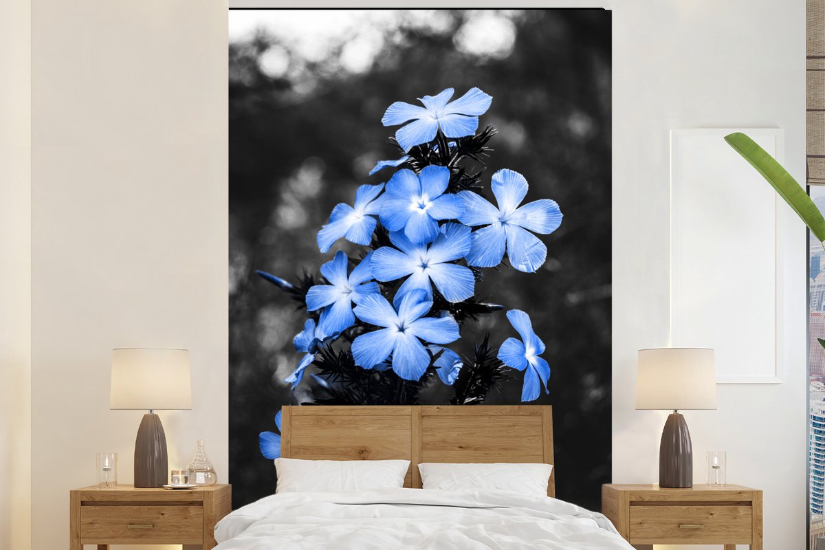Behang - Fotobehang Bloemen - Zwart - Wit - Blauw - Breedte 225 cm x hoogte 350 cm