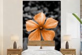 Papier Peint - Papiers Papier peint photo Fleurs - Oranje - Zwart - Wit - Largeur 225 cm x Hauteur 350 cm