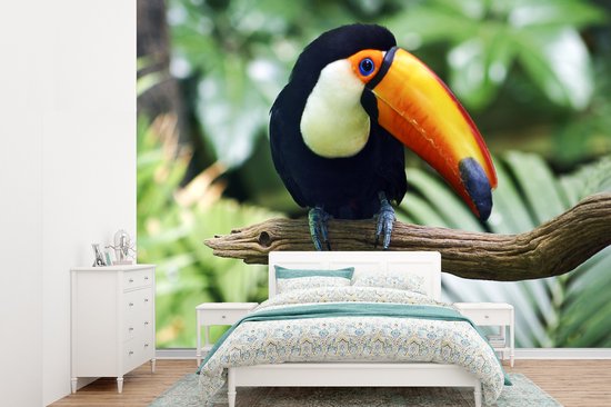 Papier peint Papier peint photo en vinyle - Toucan dans un zoo de New York largeur 330 cm x hauteur 240 cm - Tirage photo sur papier peint (disponible en 7 tailles)