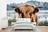 Behang - Fotobehang Koeien - Schotse hooglander - Bruin - Natuur - Breedte 350 cm x hoogte 260 cm