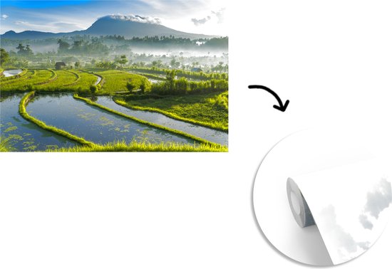 Papier peint - Papiers Papier peint photo - Rizières à Bali - Largeur 390 cm x hauteur 260 cm