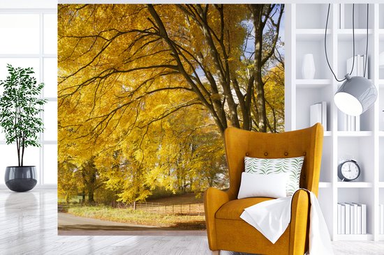 Behang - Fotobehang Gele bladeren in de bossen van het Engelse Nationaal park New Forest - Breedte 200 cm x hoogte 220 cm