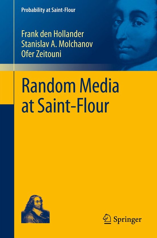 Random Media at Saint Flour - cover