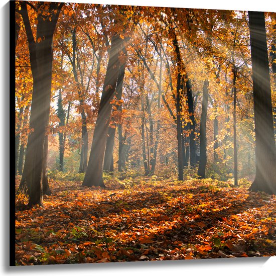 Canvas - Bos in de Herfst met Zonnestralen door de Bomen - 100x100 cm Foto op Canvas Schilderij (Wanddecoratie op Canvas)