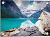 WallClassics - Tuinposter – Witte Hond liggend bij Bergen en Water - Samojeed - 40x30 cm Foto op Tuinposter (wanddecoratie voor buiten en binnen)