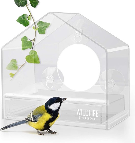 Mangeoire à oiseaux en forme de fenêtre, ventouse transparente