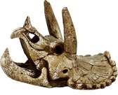 SF Skull Triceratops M