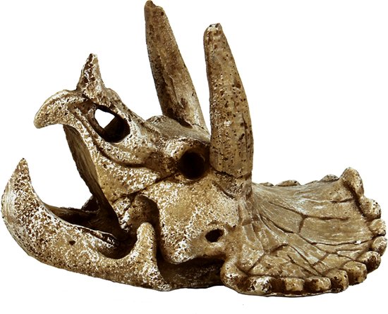 SF Skull Triceratops M