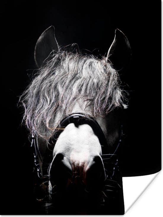 Poster Paard - Portret - Zwart - Wit - 60x80 cm