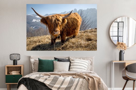 Poster Highlander écossais avec fourrure laineuse papier 180x120 cm - Tirage photo sur Poster (décoration murale salon / chambre) / Poster Animaux sauvages XXL / Groot format!