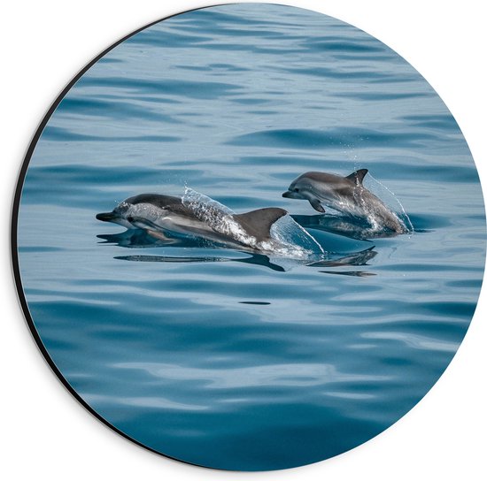 WallClassics - Dibond Muurcirkel - Dolfijnen boven de Zee - 20x20 cm Foto op Aluminium Muurcirkel (met ophangsysteem)