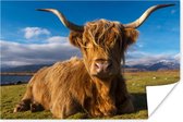Un poster Highlander écossais inclinable 30x20 cm - petit - Tirage photo sur Poster (décoration murale salon / chambre) / Poster animaux sauvages