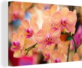 Canvas schilderij 140x90 cm - Wanddecoratie Plant - Orchidee - Bloemen - Roze - Flora - Muurdecoratie woonkamer - Slaapkamer decoratie - Kamer accessoires - Schilderijen