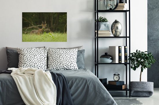 Poster Cerf pâturage papier 60x40 cm - Tirage photo sur Poster (décoration murale salon / chambre) / Poster Animaux sauvages