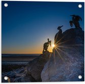 WallClassics - Tuinposter – Volgels op Rots bij Zonsondergang - 50x50 cm Foto op Tuinposter (wanddecoratie voor buiten en binnen)