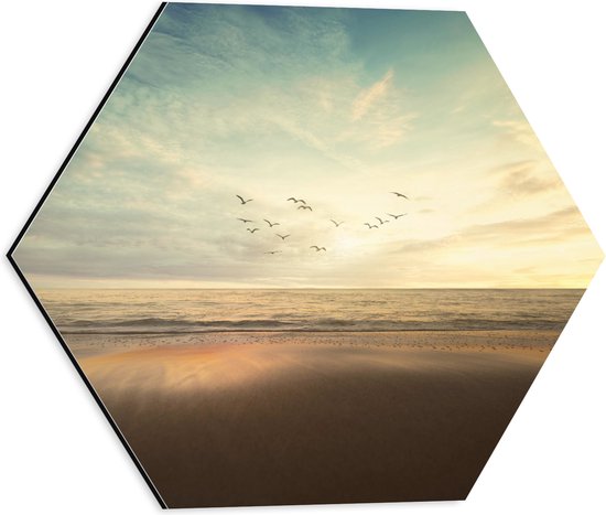WallClassics - Dibond Hexagon - Vogels vliegend over de Zee en het Strand - 40x34.8 cm Foto op Hexagon (Met Ophangsysteem)