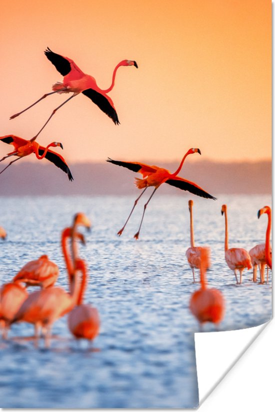 PosterMonkey - Poster - Fotolijst - Vogel - Flamingo - Zonsondergang - Water - Tropisch - 40x60 cm - Poster in lijst - Poster flamingo - Poster frame - Poster dieren