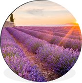WallCircle - Wandcirkel - Muurcirkel - Lavendel - Zonsondergang - Bloemen - Paars - Aluminium - Dibond - ⌀ 90 cm - Binnen en Buiten