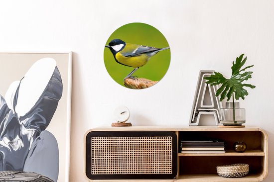 Cercle mural - Cercle mural - Vogel - Mésange charbonnière - Vert - Animaux - Plastique - Cercle mural intérieur - Tableaux ronds - 30x30 cm - Cercle mural oiseau - Décoration murale rond - Tableau rond