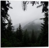 WallClassics - Dibond - Mist in de Bergen - 50x50 cm Foto op Aluminium (Met Ophangsysteem)