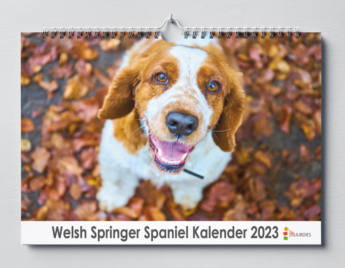 Welsh Springer Spaniel kalender 2023 | 35x24 cm | jaarkalender 2023 | Wandkalender 2023