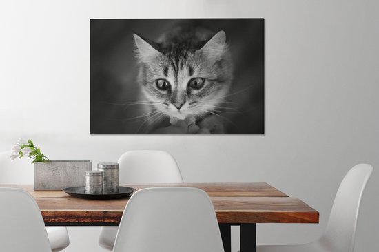 Profil animalier sentant le chat en toile noir et blanc 2cm 90x60 cm - Tirage photo sur toile (Décoration murale salon / chambre)