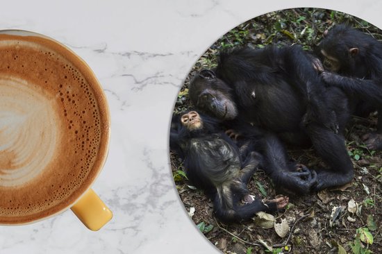 Sous-verres verres à verres - Ronds - Singes - Endormis - Forêt - 10x10 cm - Sous-verres en verre - 6 pièces