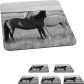 Onderzetters voor glazen - Paarden - Dieren - Portret - Zwart wit - Platteland - 10x10 cm - Glasonderzetters - 6 stuks