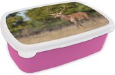 Broodtrommel Roze - Lunchbox - Brooddoos - Dieren - Hert - Gewei - Bosdieren - Natuur - 18x12x6 cm - Kinderen - Meisje