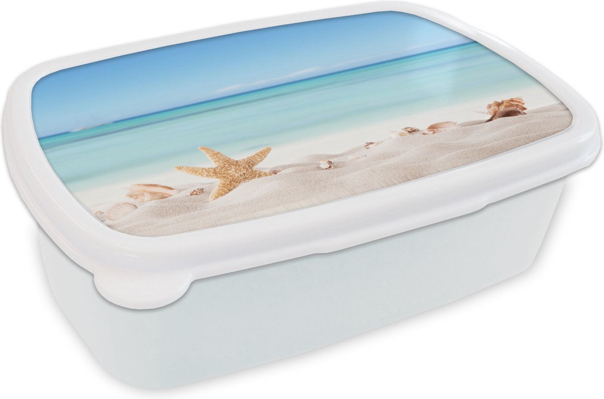 Broodtrommel Wit - Lunchbox - Brooddoos - Strand - Zee - Schelpen - Zeester - 18x12x6 cm - Volwassenen