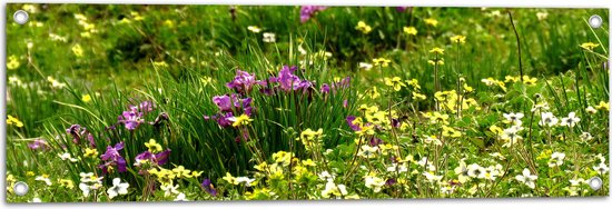 WallClassics - Poster de jardin - Fleurs colorées entre l'herbe verte - 90x30 cm Photo sur poster de jardin (décoration murale pour l'extérieur et l'intérieur)