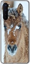 Geschikt voor OnePlus Nord hoesje - Jong fjord paard bedekt met sneeuw - Siliconen Telefoonhoesje