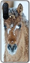 Geschikt voor OnePlus Nord CE 5G hoesje - Jong fjord paard bedekt met sneeuw - Siliconen Telefoonhoesje