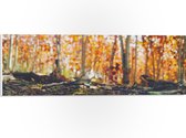 WallClassics - PVC Schuimplaat- Gevallen Takken - 60x20 cm Foto op PVC Schuimplaat