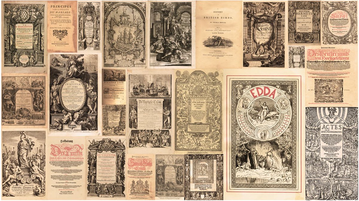 Fotobehang XXL - Vintage Books.